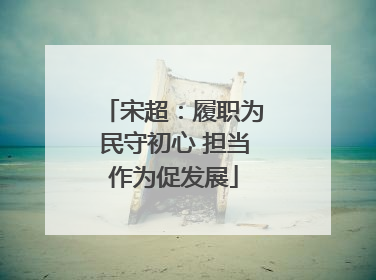 宋超：履职为民守初心 担当作为促发展