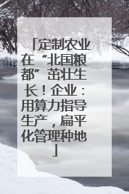 定制农业在“北国粮都”茁壮生长！企业：用算力指导生产，扁平化管理种地