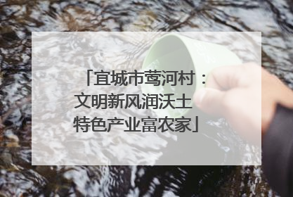 宜城市莺河村：文明新风润沃土 特色产业富农家