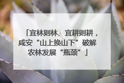 宜林则林、宜耕则耕，咸安“山上换山下”破解农林发展“瓶颈”