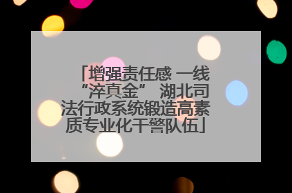增强责任感 一线“淬真金” 湖北司法行政系统锻造高素质专业化干警队伍