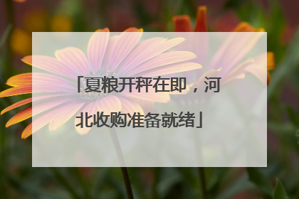 夏粮开秤在即，河北收购准备就绪