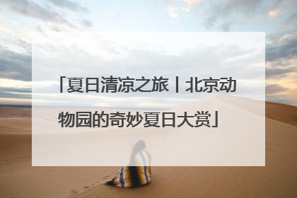 夏日清凉之旅丨北京动物园的奇妙夏日大赏