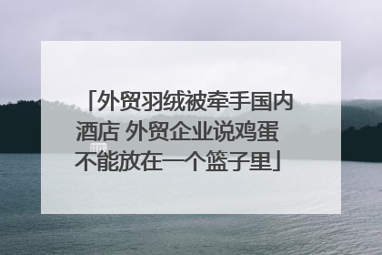 外贸羽绒被牵手国内酒店 外贸企业说鸡蛋不能放在一个篮子里