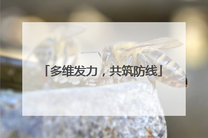 多维发力，共筑防线
