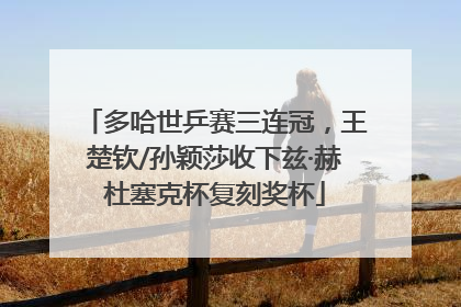多哈世乒赛三连冠，王楚钦/孙颖莎收下兹·赫杜塞克杯复刻奖杯