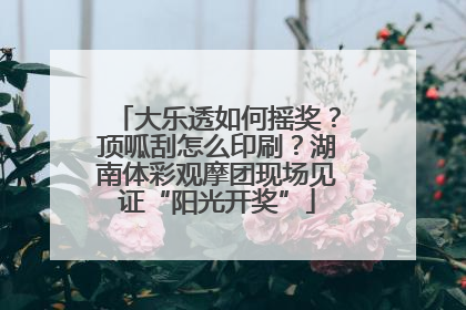 大乐透如何摇奖？顶呱刮怎么印刷？湖南体彩观摩团现场见证“阳光开奖”