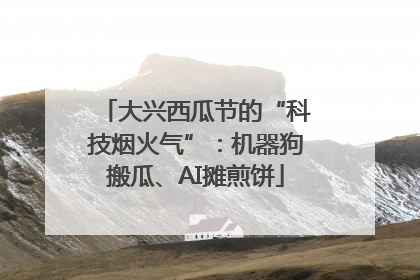 大兴西瓜节的“科技烟火气”：机器狗搬瓜、AI摊煎饼