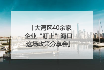 大湾区40余家企业“盯上”海口这场政策分享会
