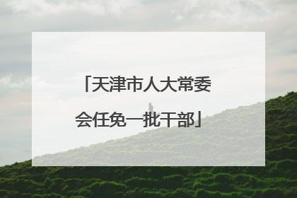 天津市人大常委会任免一批干部