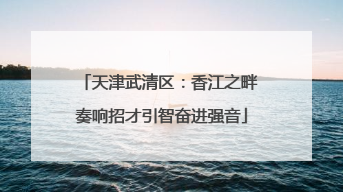 天津武清区：香江之畔奏响招才引智奋进强音