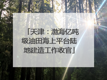 天津：渤海亿吨级油田海上平台陆地建造工作收官