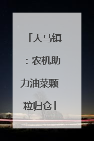 天马镇：农机助力油菜颗粒归仓