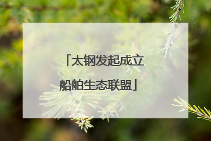太钢发起成立船舶生态联盟