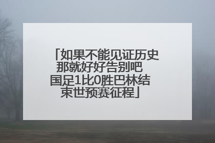 如果不能见证历史 那就好好告别吧 国足1比0胜巴林结束世预赛征程