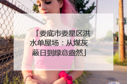 娄底市娄星区洪水单屋场：从煤灰蔽日到绿意盎然