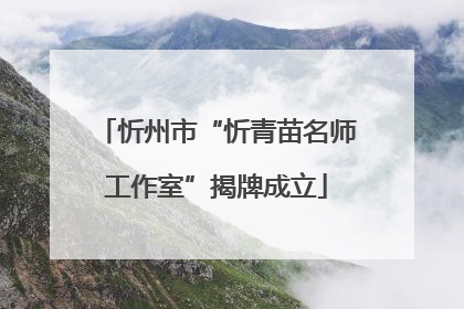 忻州市“忻青苗名师工作室”揭牌成立