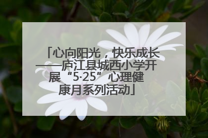 心向阳光，快乐成长——庐江县城西小学开展“5·25”心理健康月系列活动