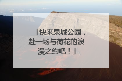 快来泉城公园，赴一场与荷花的浪漫之约吧！