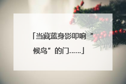 当藏蓝身影叩响“候鸟”的门……