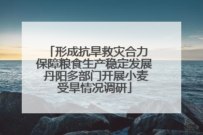 形成抗旱救灾合力 保障粮食生产稳定发展 丹阳多部门开展小麦受旱情况调研
