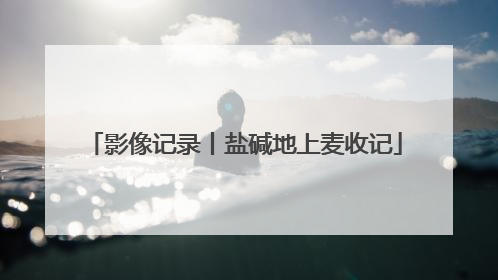 影像记录丨盐碱地上麦收记