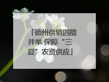 德州供销四措并举 保障“三夏”农资供应
