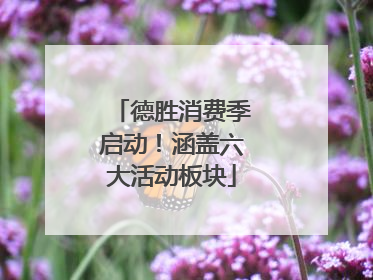 德胜消费季启动！涵盖六大活动板块