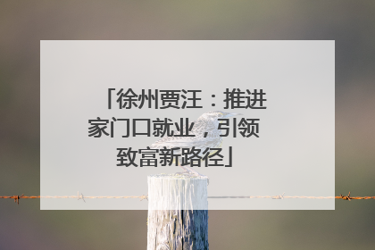 徐州贾汪：推进家门口就业，引领致富新路径