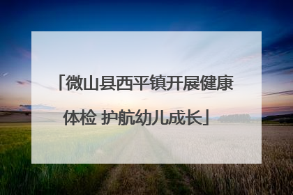 微山县西平镇开展健康体检 护航幼儿成长