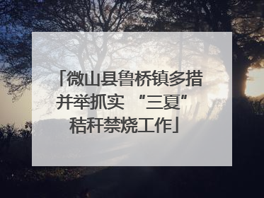 微山县鲁桥镇多措并举抓实 “三夏” 秸秆禁烧工作
