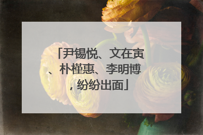 尹锡悦、文在寅、朴槿惠、李明博，纷纷出面