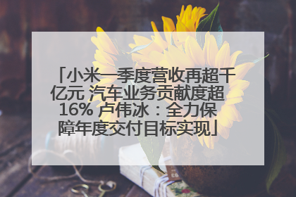 小米一季度营收再超千亿元 汽车业务贡献度超16% 卢伟冰：全力保障年度交付目标实现