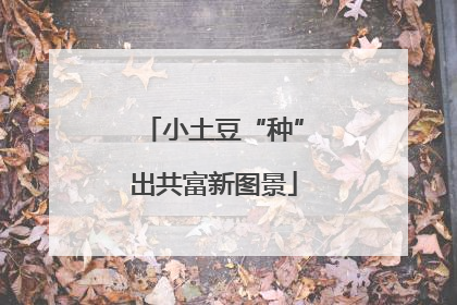 小土豆“种”出共富新图景