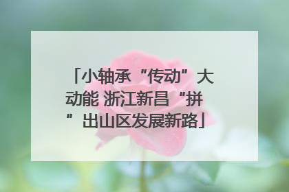 小轴承“传动”大动能 浙江新昌“拼”出山区发展新路