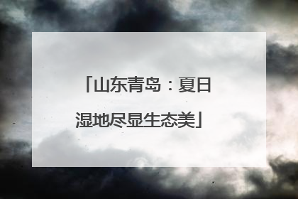 山东青岛：夏日湿地尽显生态美