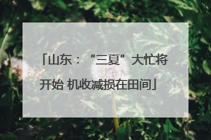 山东：“三夏”大忙将开始 机收减损在田间