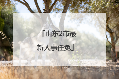 山东2市最新人事任免