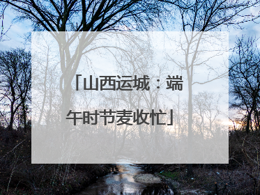 山西运城：端午时节麦收忙