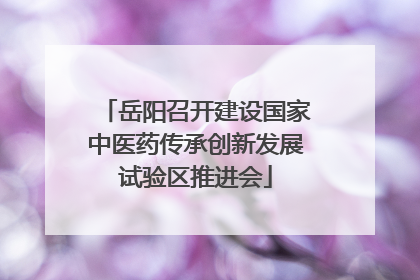 岳阳召开建设国家中医药传承创新发展试验区推进会