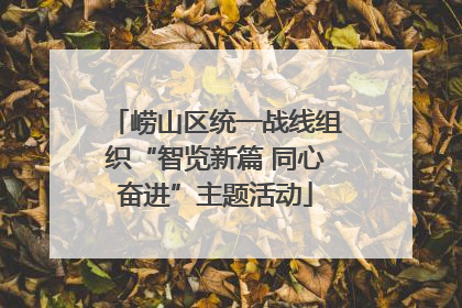 崂山区统一战线组织“智览新篇 同心奋进”主题活动