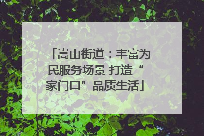 嵩山街道：丰富为民服务场景 打造“家门口”品质生活