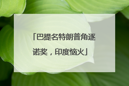 巴提名特朗普角逐诺奖，印度恼火