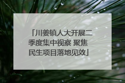 川姜镇人大开展二季度集中视察 聚焦民生项目落地见效