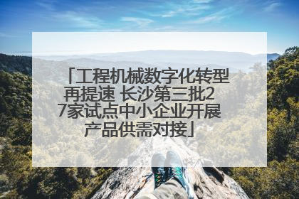 工程机械数字化转型再提速 长沙第三批27家试点中小企业开展产品供需对接