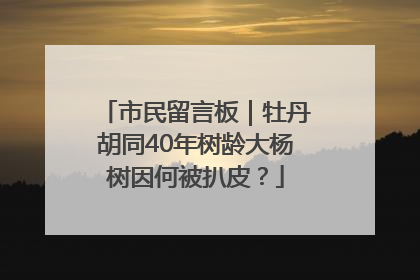 市民留言板｜牡丹胡同40年树龄大杨树因何被扒皮？
