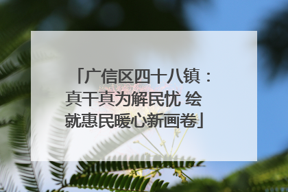 广信区四十八镇：真干真为解民忧 绘就惠民暖心新画卷