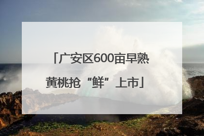广安区600亩早熟黄桃抢“鲜”上市