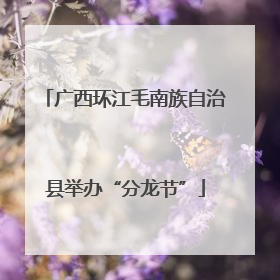 广西环江毛南族自治县举办“分龙节”