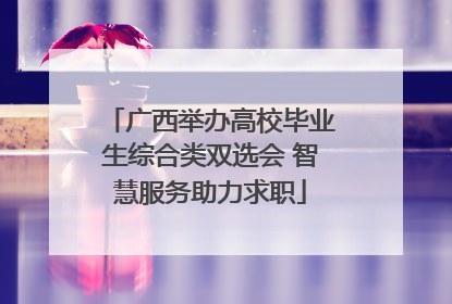 广西举办高校毕业生综合类双选会 智慧服务助力求职